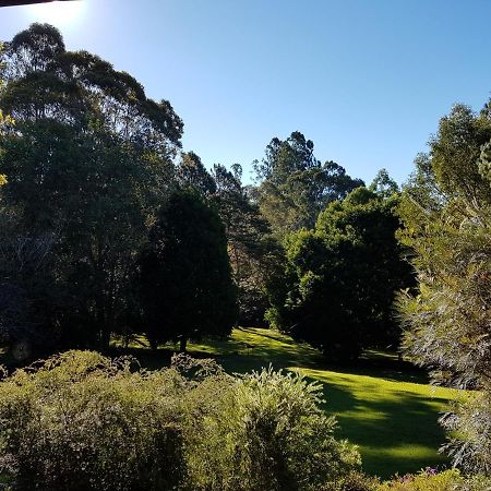The Paddocks Villa Maleny Kültér fotó